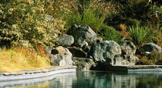 pond