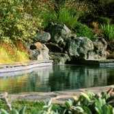 pond in natural setting